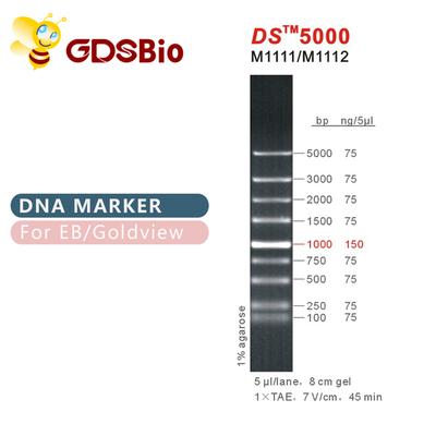 Escada M1111 do marcador do ADN do DS 5000 (50μg) /M1112 (5×50μg)