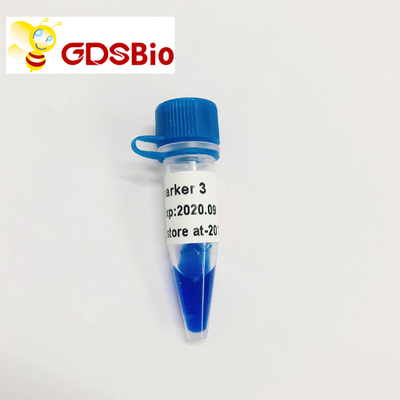 Eletroforese da escada do ADN do marcador 3 do LD 60 reagentes da pureza alta das preparações
