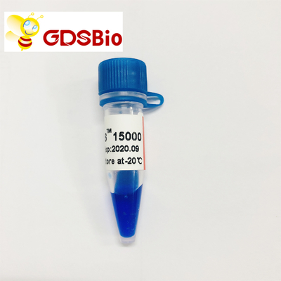 Escada LM1161 do marcador do ADN do LD DS 15000bp 15kb (50 preparações) /LM1162 (50 preps×5)