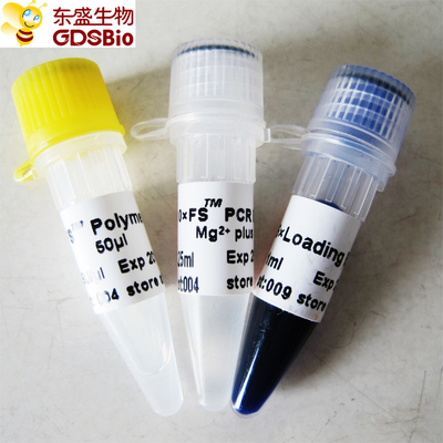 Polimerase de ADN P1071 do PCR QPCR FS Taq P1072 P1073 P1074