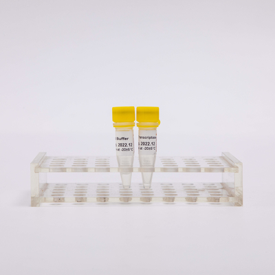 aparência incolor do PCR R3002 de Transcriptase do reverso do ouro 10000U