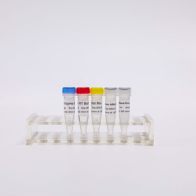 Mistura do PCR de 100 Rxns RT