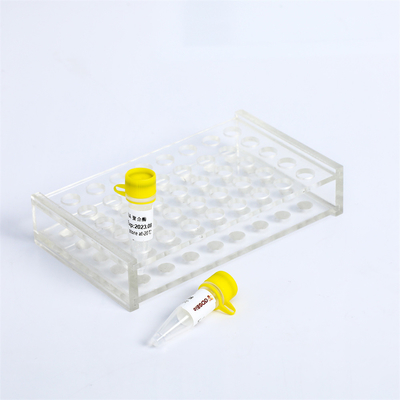 Polimerase de ADN mestra Exonuclease do Bst da mistura do PCR P1113 menos 8000 U/mL