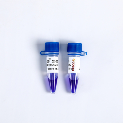 Eletroforese 2000 do gel do marcador do ADN do LD DS dos reagentes da pureza alta LM1101 LM1102
